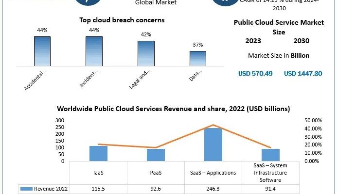 Public Cloud Service Market