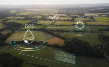 Smart Forestry Market Report 2024 - Smart Forestry Market Trends and Growth