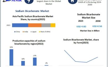 Sodium Bicarbonate Market