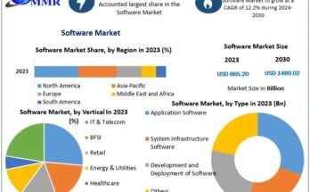 Software Market