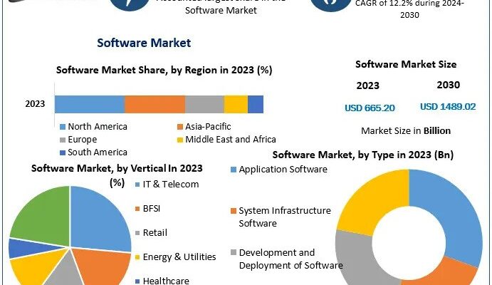 Software Market