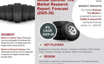 Summer Tire Market