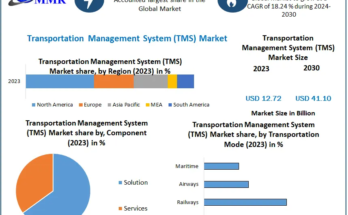 Transportation Management System (TMS) Market