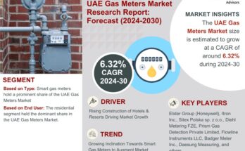 UAE Gas Meters Market