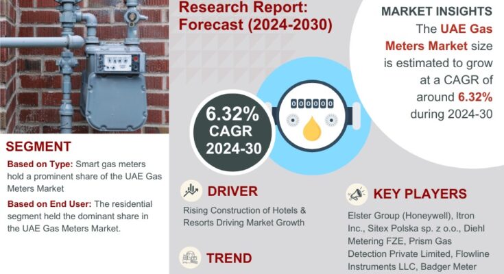 UAE Gas Meters Market