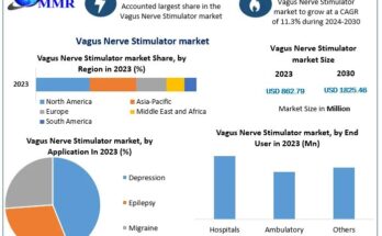 Vagus Nerve Stimulator Market