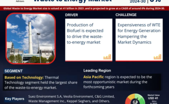 Waste to Energy Market