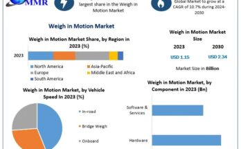 Weigh in Motion Market