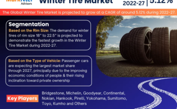 Winter Tire Market