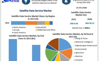 Satellite Data Service Market