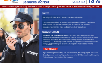 UAE Managed Security Services Market